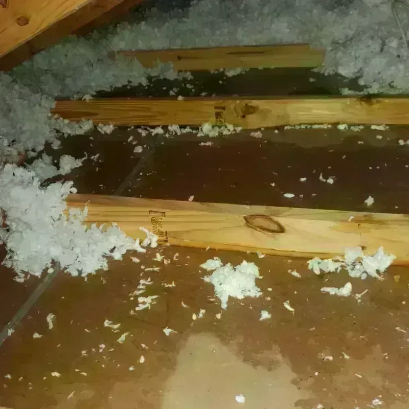 Attic Water Damage in Oak View, CA