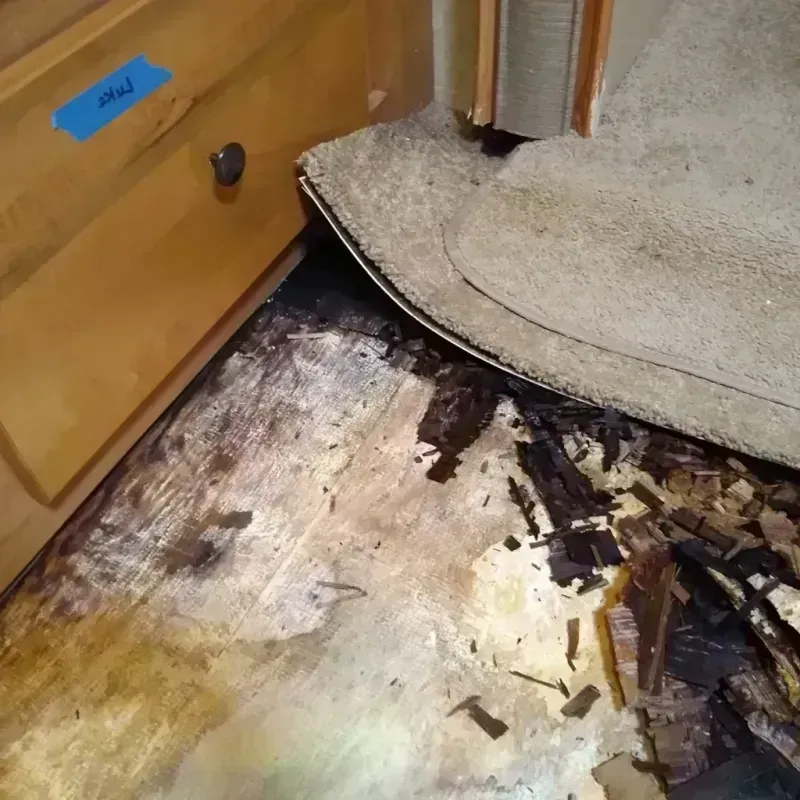 Wood Floor Water Damage in Oak View, CA